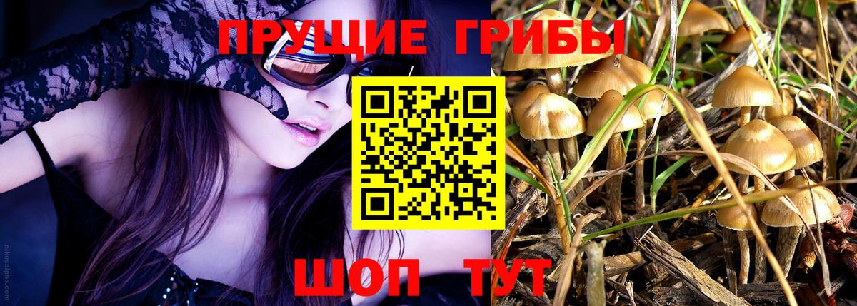 Псилоцибиновые грибы мицелий Гудермес