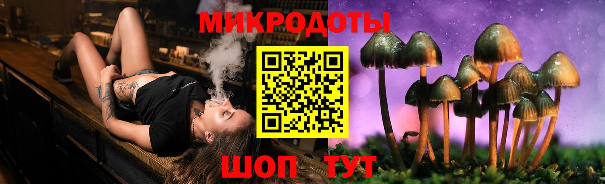 Гудермес  Галлюциногенные грибы мухоморы  Вход с VPN  Галлюциногенные грибы прущие грибы 
